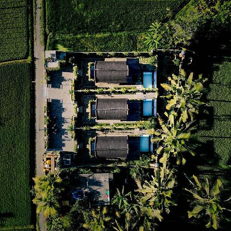 Alvia Joglo House & Private Pool Villa Tampaksiring Exterior photo